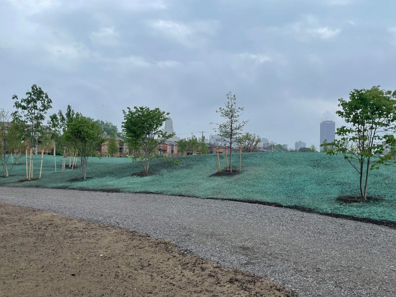 Ralph Wilson Centennial Park construction