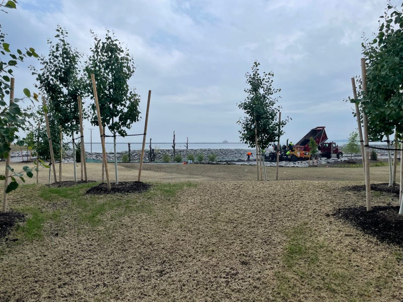 Ralph Wilson Centennial Park construction