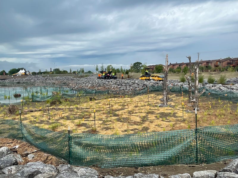 Ralph Wilson Centennial Park construction