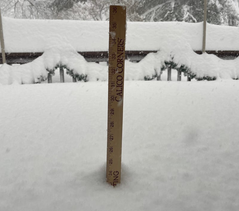 Orchard Park snowfall