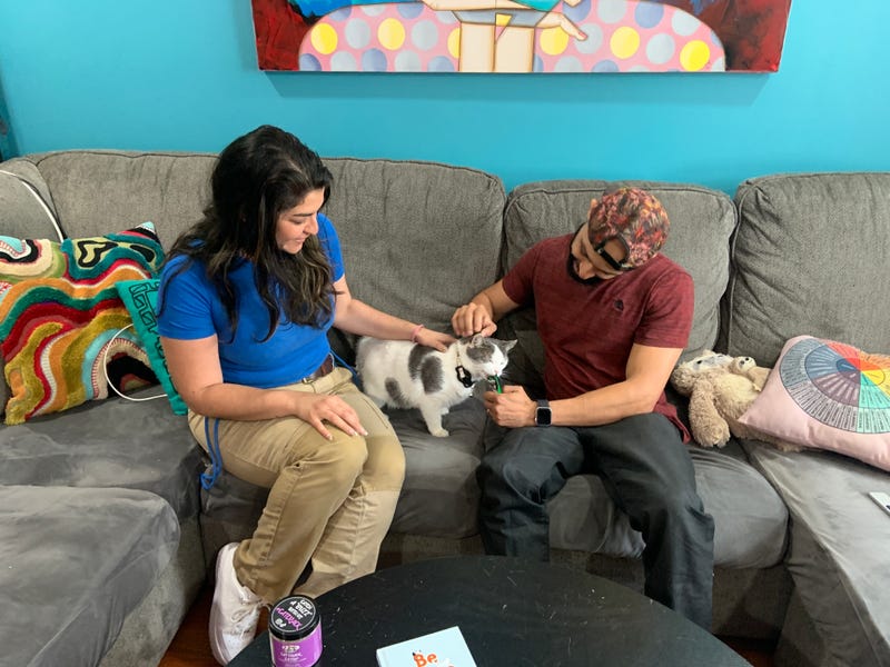 A cat stolen in South Philly is reunited with his owners.