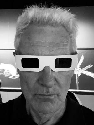 John wearing 3D glasses to view an exhibit at the Seattle Art Fair