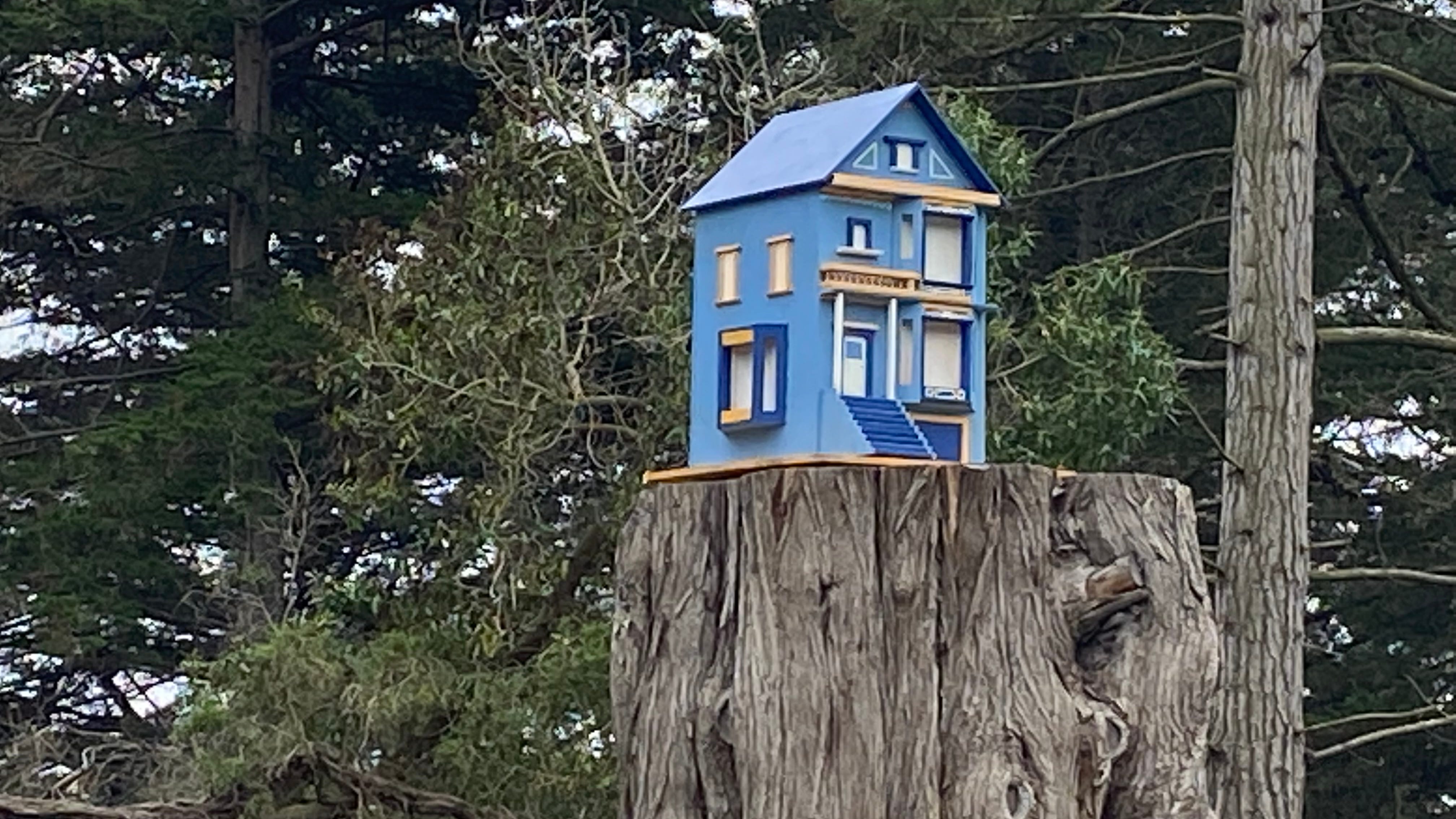 Mystery tiny Victorian house appears 40 feet up a tree in San Francisco