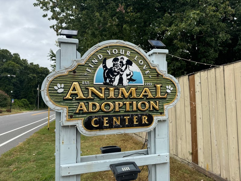 Animal Adoption Center in Lindenwold, New Jersey
