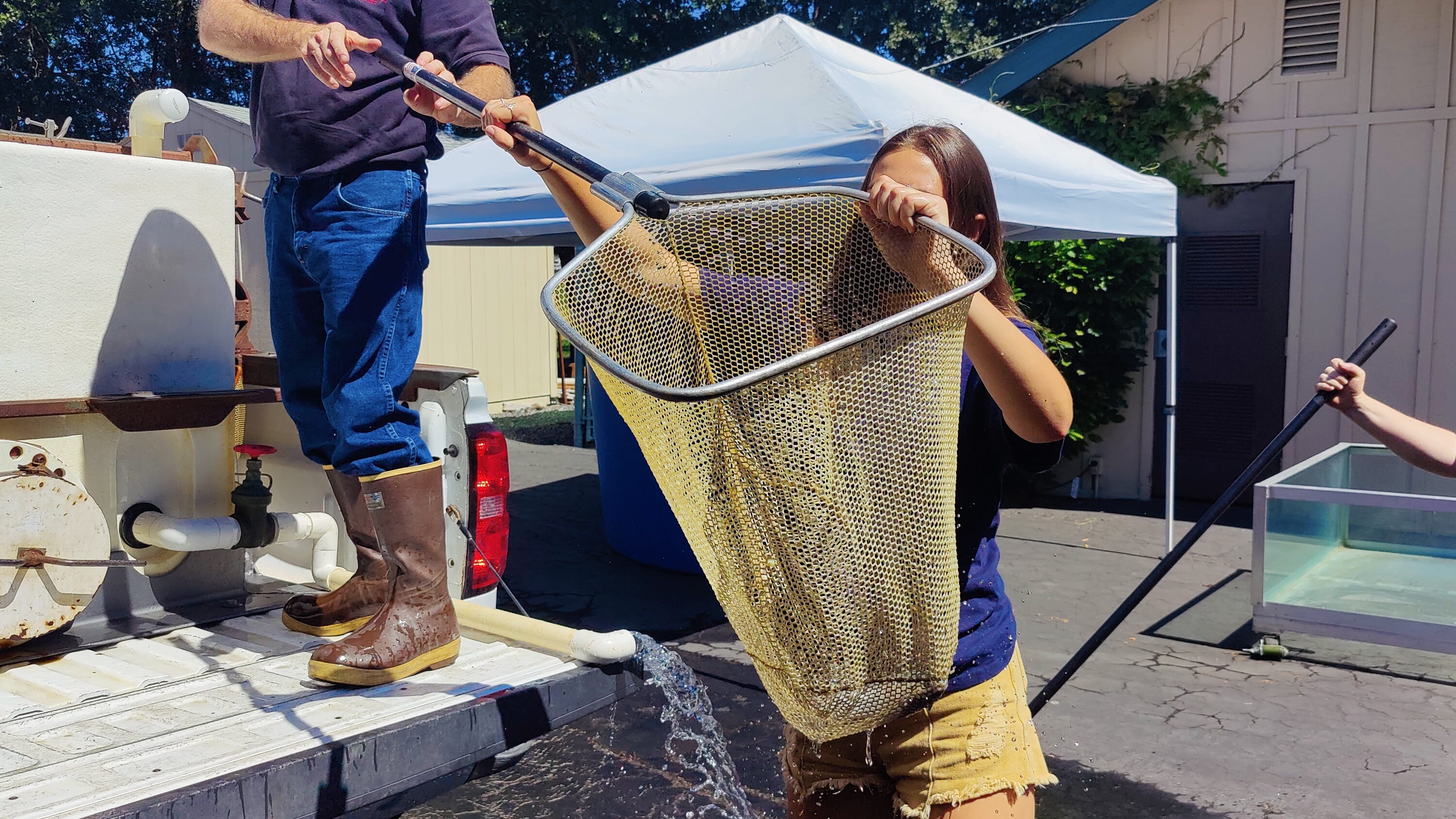 VIDEO: The fish escape – thousands of salmon saved from drought-ridden Lake Sonoma