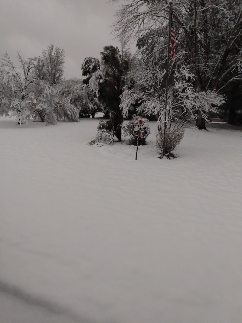Snowfall