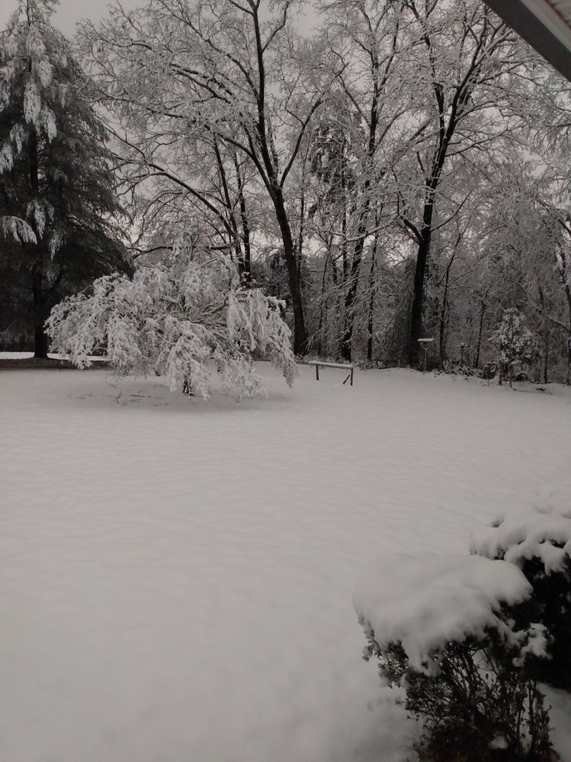 Snowfall