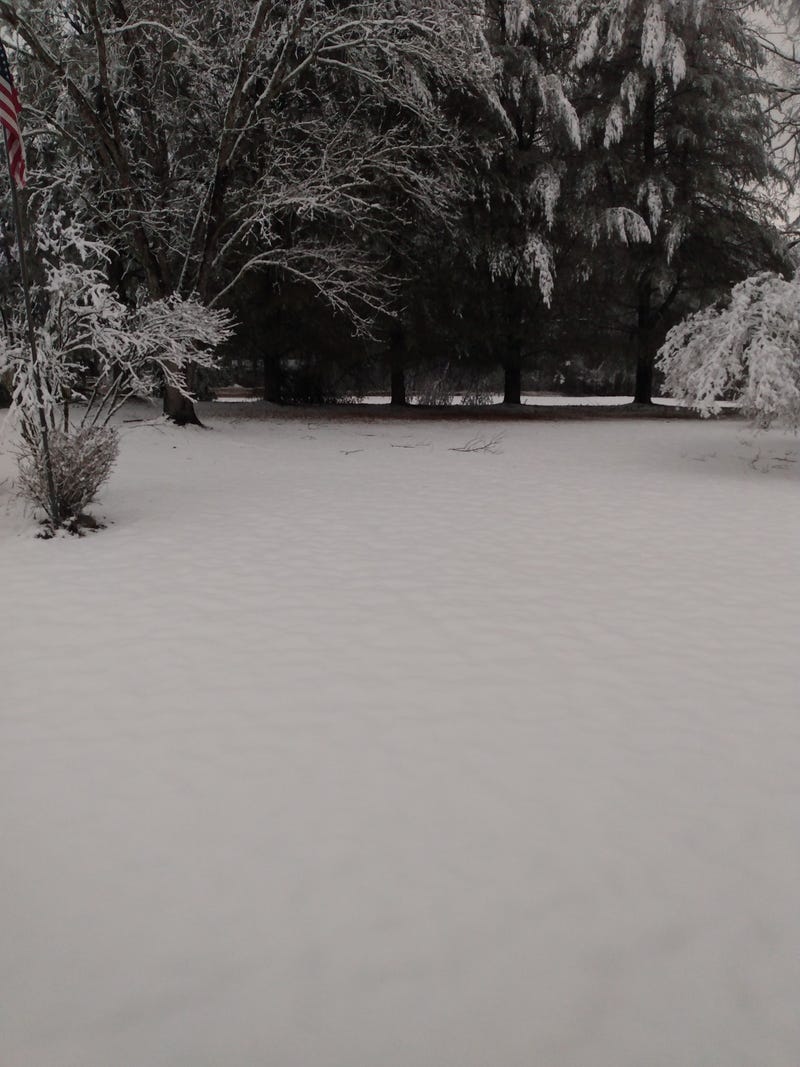 Winter storm brings havoc