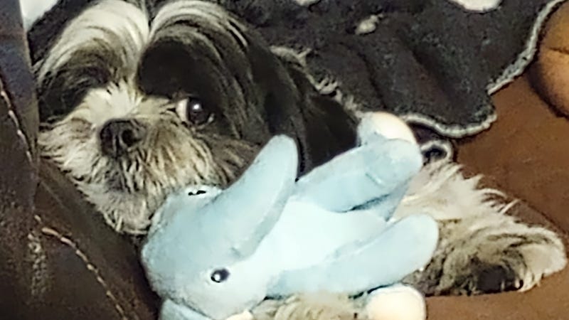 Rudy Roo approves / Heather Rivera