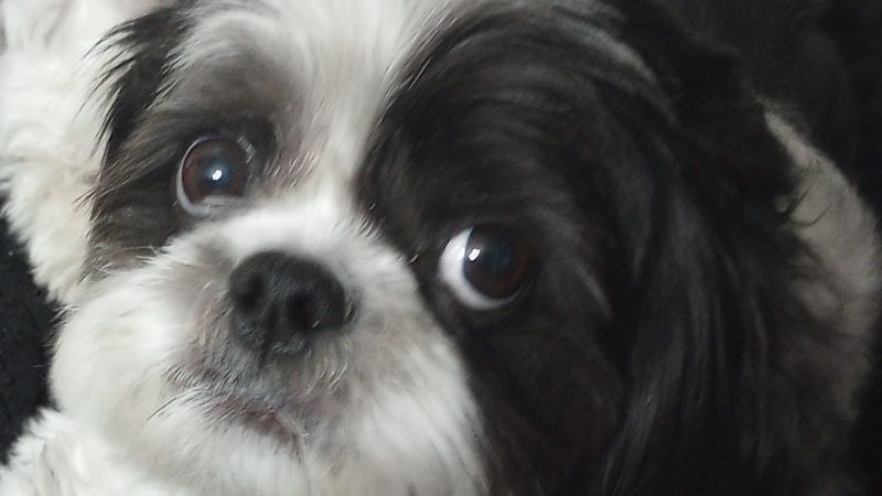 Rudy Roo / HR