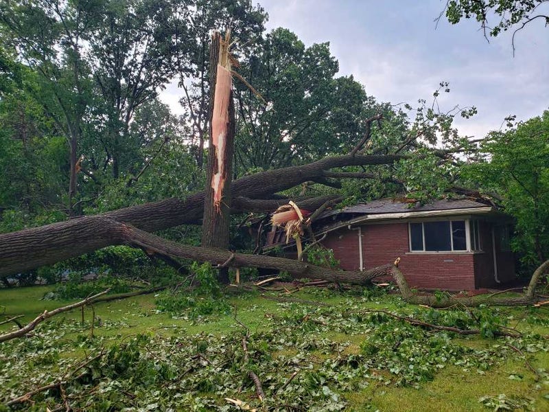 Tree damage near Southfield/Beverly Hills border