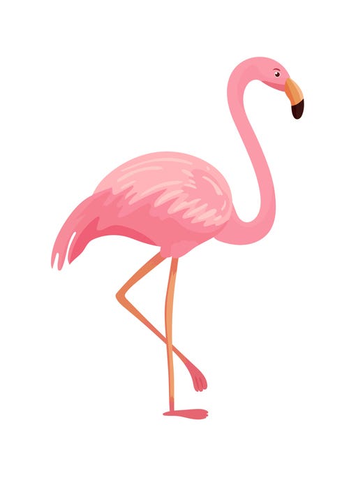 Flamingo 