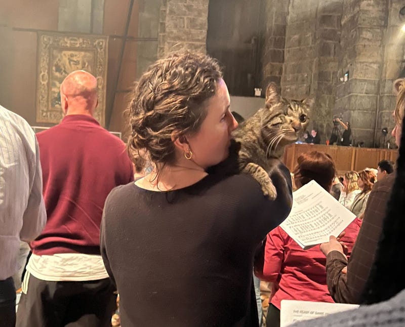 The annual “Blessing of the Animals” at the cathedral of St. John the Divine in Morningside Heights took place on Sunday.