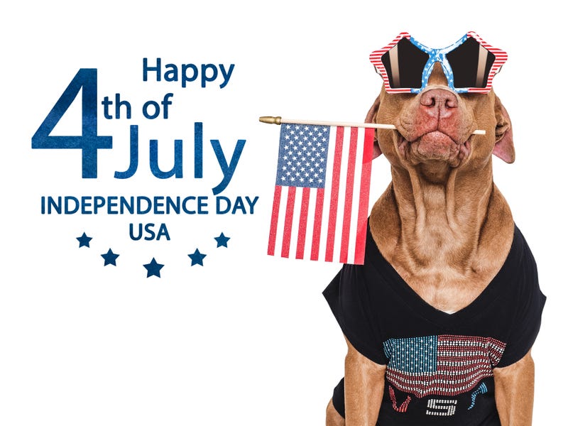 4 de Julio dog