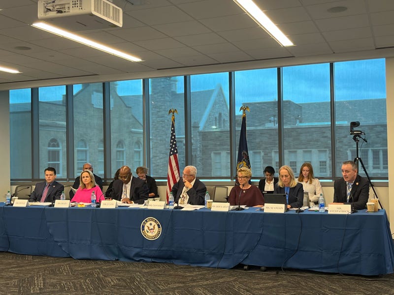 The U.S. House Oversight subcommittee panel included U.S. Reps. Madeleine Dean, Dwight Evans, Chrissy Houlahan and Brendan Boyle.