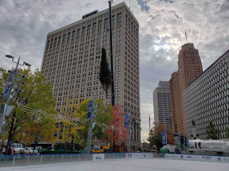 The Norway spruce lifted above Campus Martius ice rink