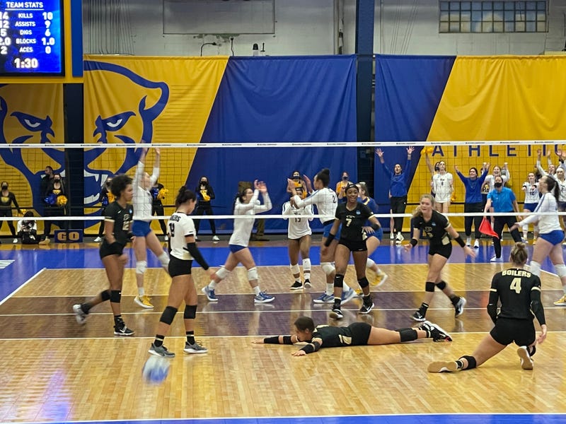 Pitt volleyball