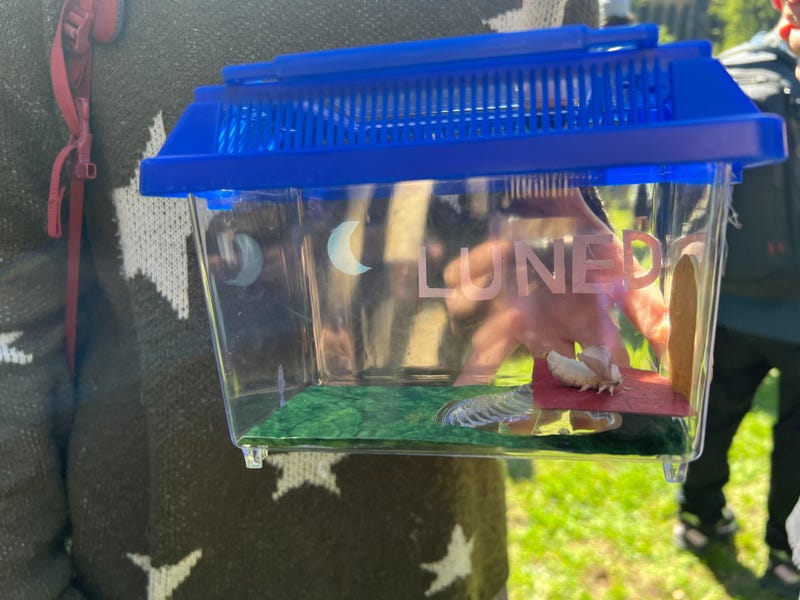 The annual blessing of the animals at the cathedral of St. John the Divine on Amsterdam Avenue and 112th Street in Morningside took place on Sunday. Michelle Leifer