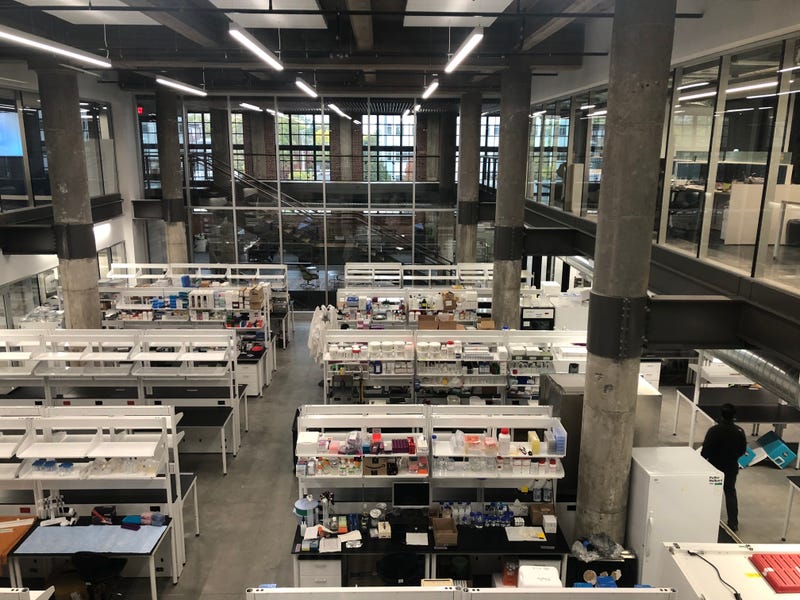Some of the laboratory space present in the Cortex Innovation Community is seen here, inside of the BioSTL Building 