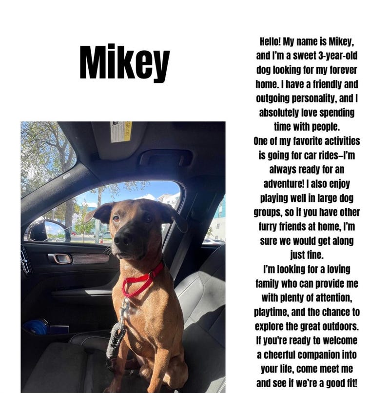 mikey