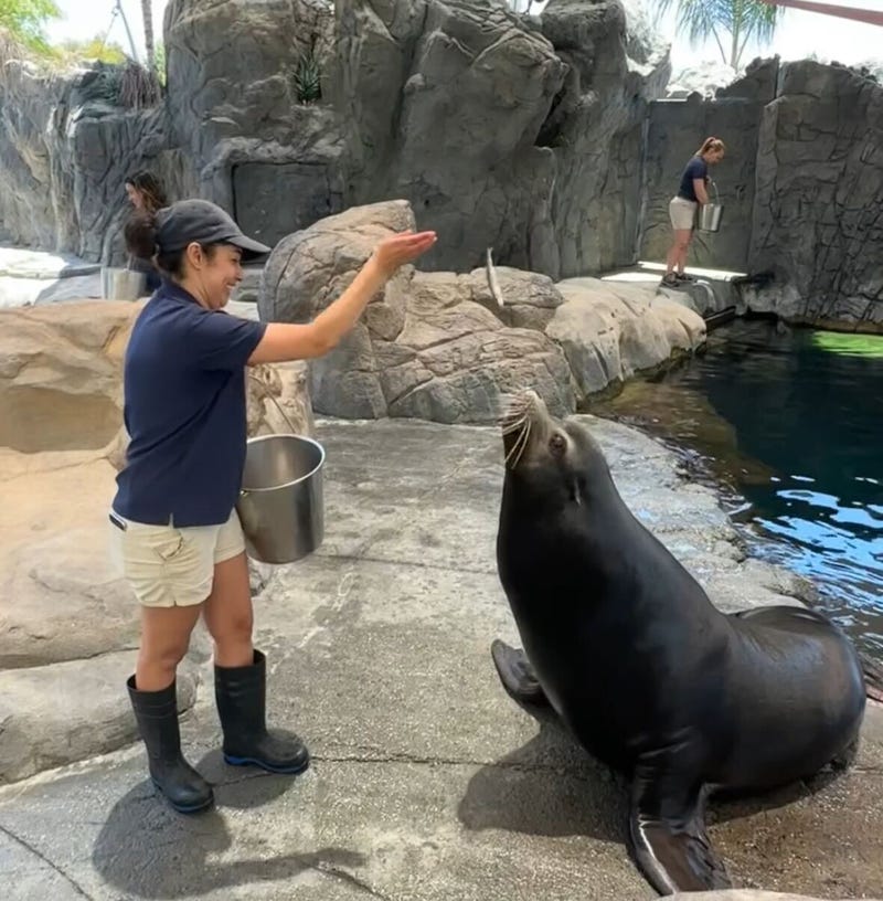 Long Beach aquarium