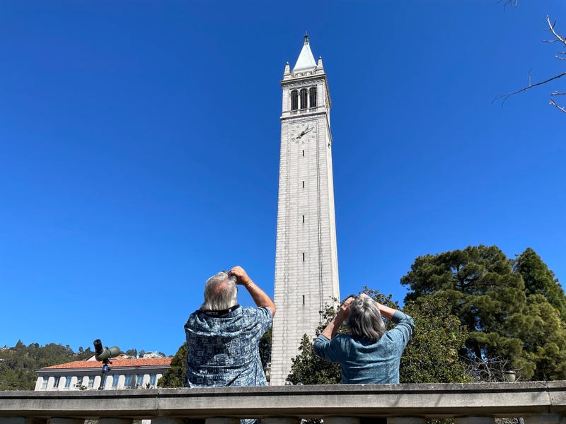 Annie and Grinnell sit high about UC Berkeley's campus.