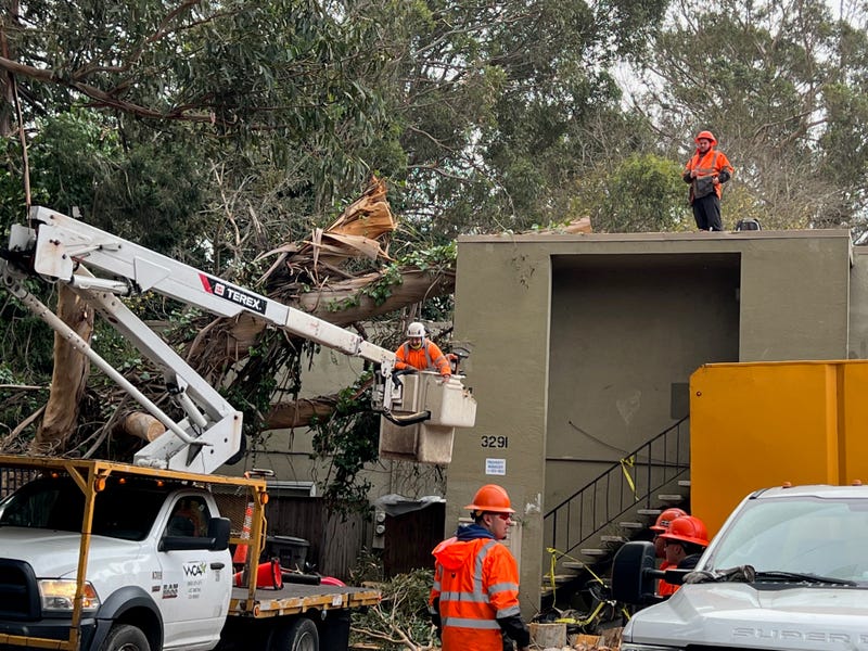Crews have cordoned off the building while they try to remove the tree.