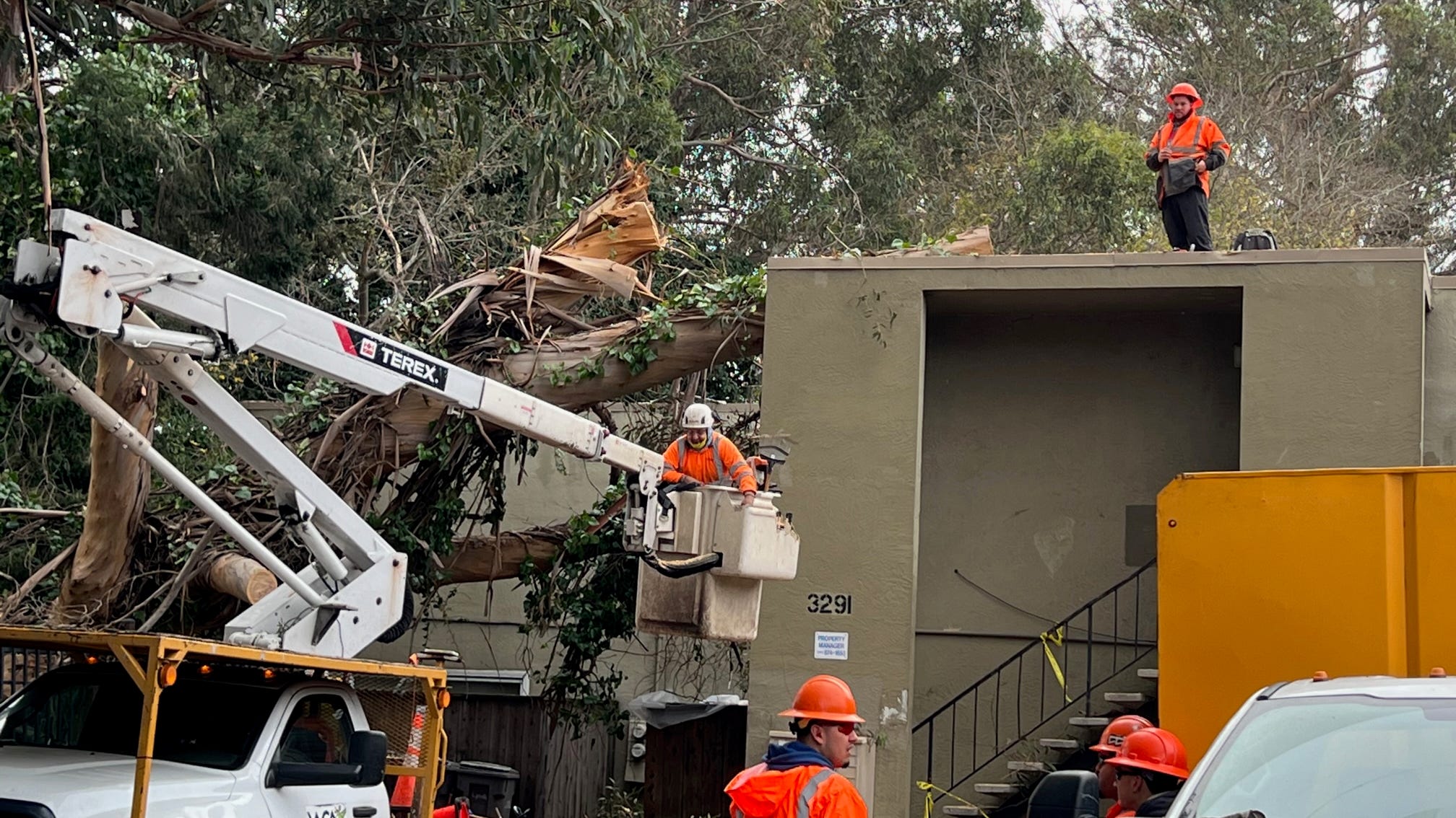 8 families displaced in Oakland by massive tree falling on their apartment