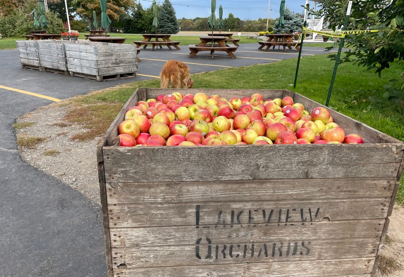 Smith's Orchard Cider Mill