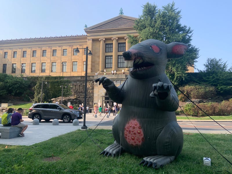 A "Scabby the Rat" inflatable figure is stationed in front an entrance to the Philadelphia Museum of Art.
