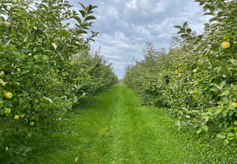 Smith's Orchard Cider Mill
