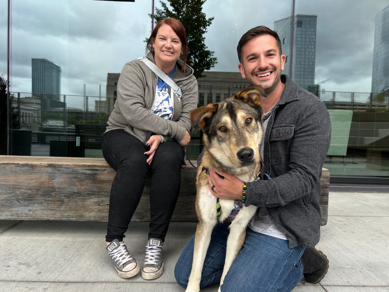 Meet Tinman, Bennett's PSPCA Pet of the Week