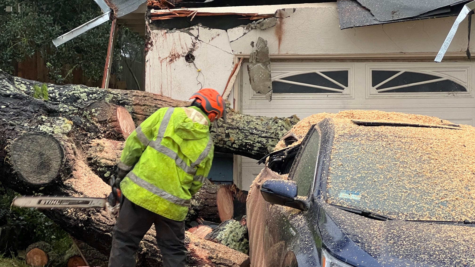 VIDEO: San Bruno home crushed by massive fallen pine tree