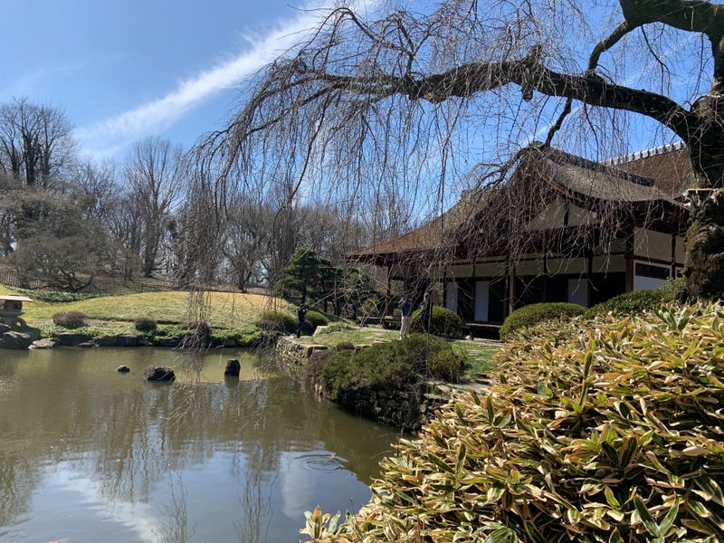 The Shofuso House and Garden in West Fairmount Park reopens this weekend, in time for spring, and the upcoming cherry blossom season.