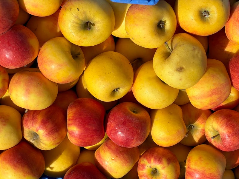 Lincoln Park Farmers Market