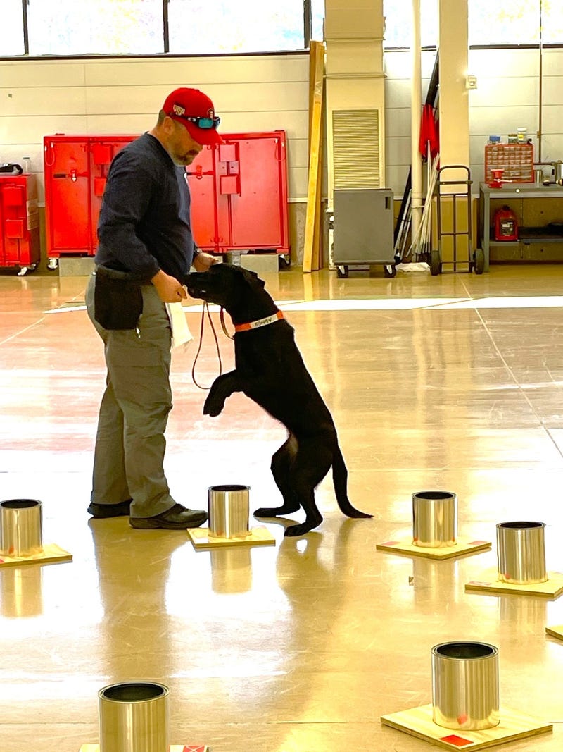arson detection dog Agnes