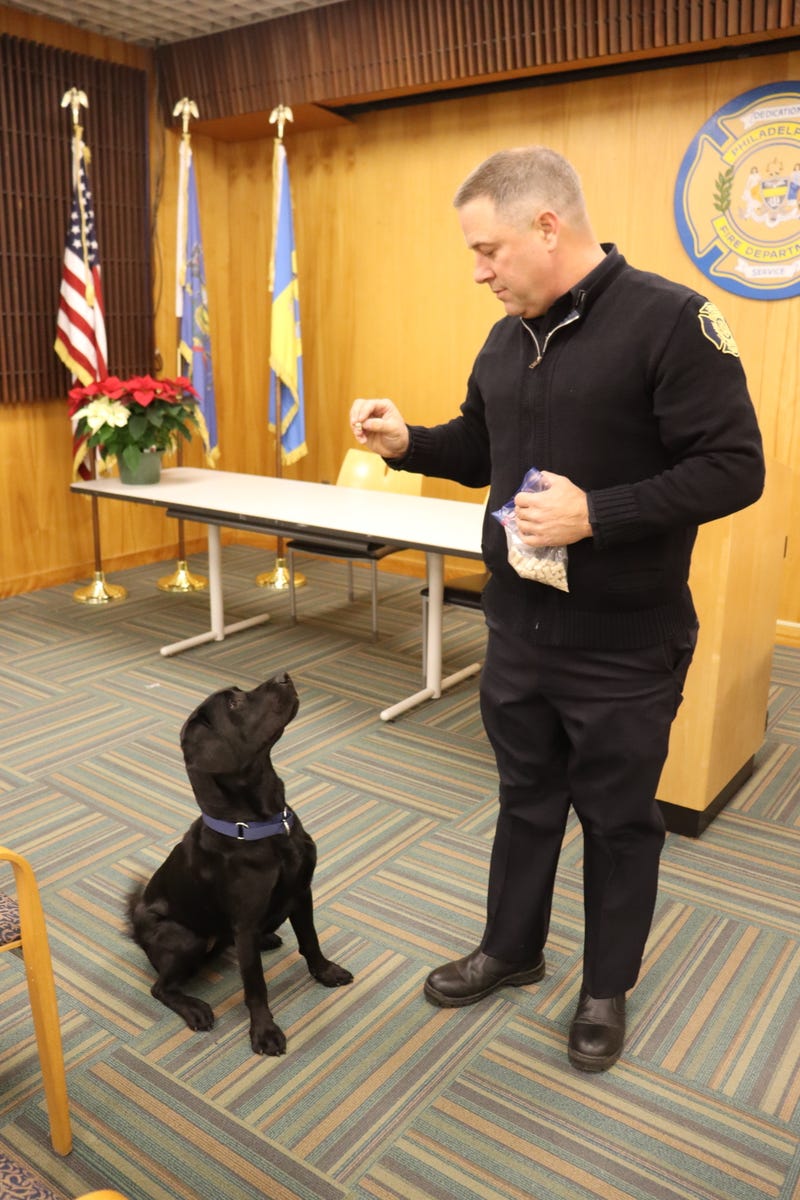 arson detection dog Agnes