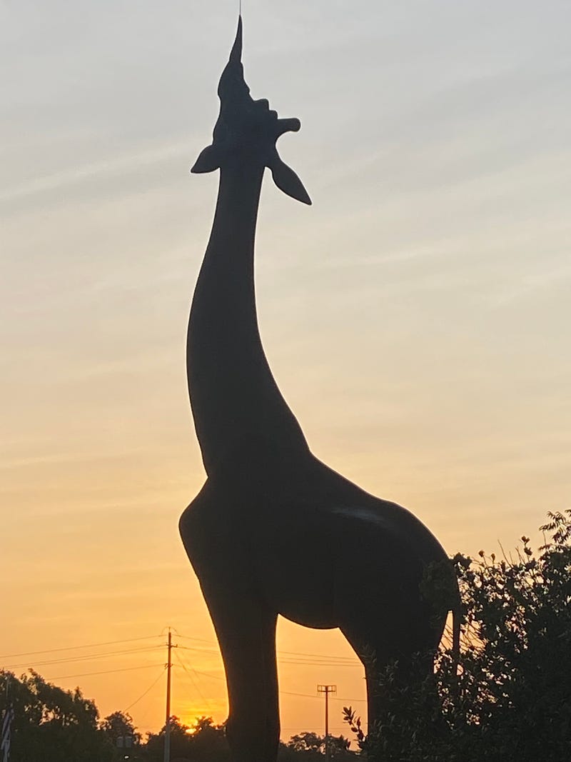 The Dallas Zoo’s much-anticipated Dollar Days promotion is in full swing today, with all 20,000 $1 tickets sold and on-site parking quickly hit capacity - setting a steep $12 fee for the limited 1,200 slots available.