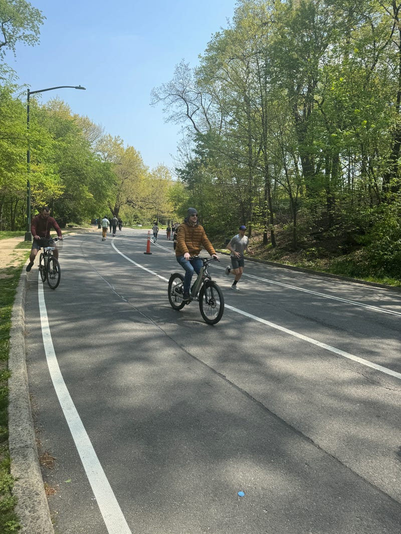 New Yorkers enjoying a day outside in Central Park. 