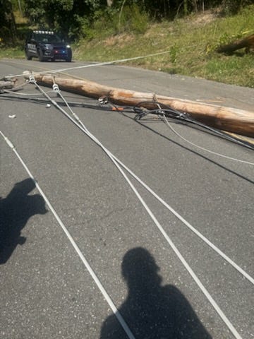 Bus Crash