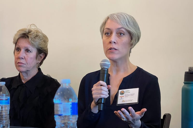 Amy Moore, (right) director of the Missouri Division of Cannabis Regulation, speaks at the National Cannabis Industry Association’s summit on March 28 in St. Louis. At left is Mitch Meyers, partner at BeLeaf Medical marijuana company/