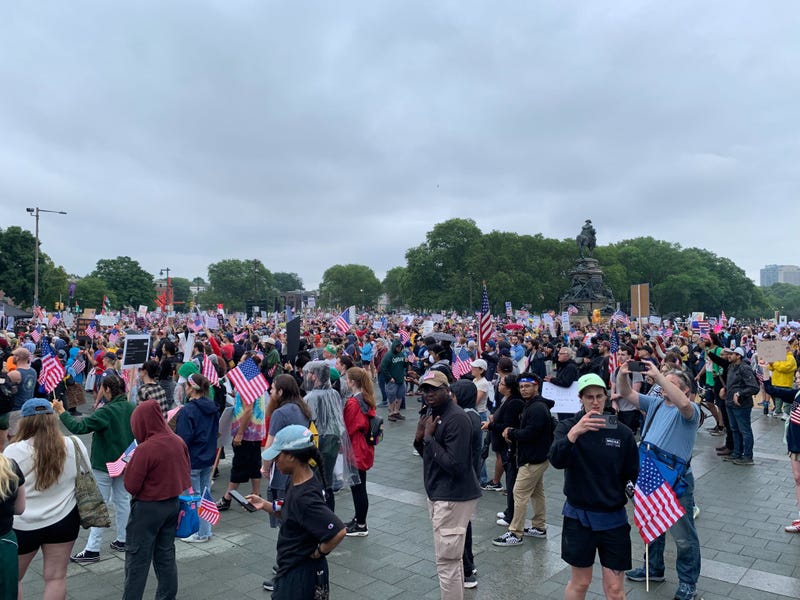 Protesters at 'No Kings' rally