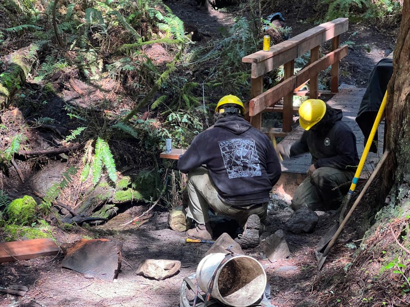 Mount Tam stood right in the line of fire during the atmospheric rivers that rocked the Bay Area.