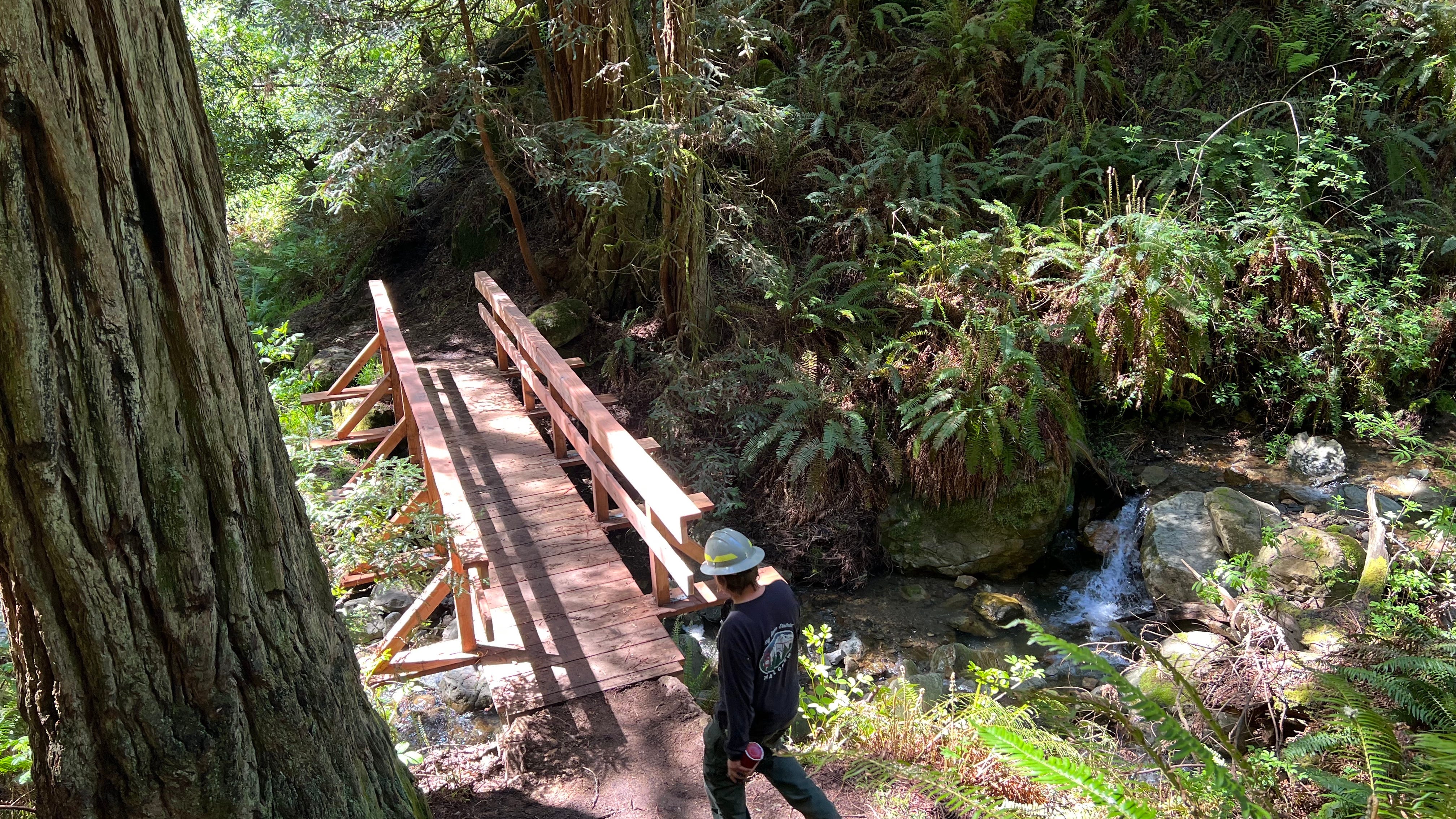 California State Parks undergo post-storm rebuilding