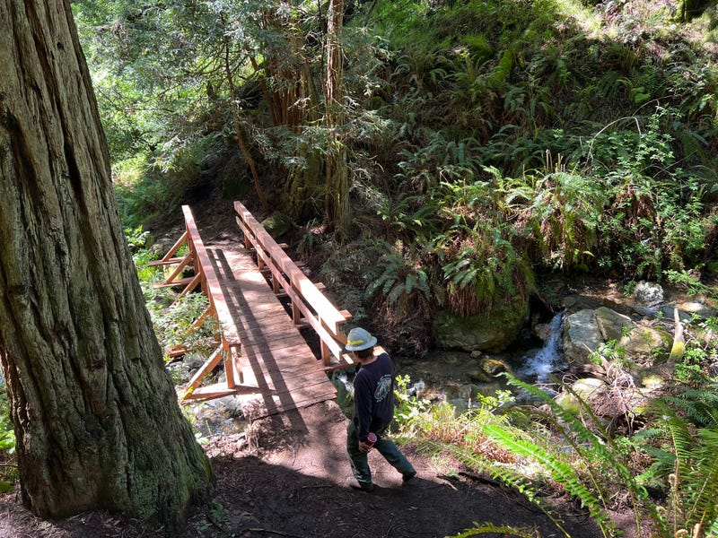 State parks throughout California are in clean up mode after a devastating winter and a busy hiking season ahead.