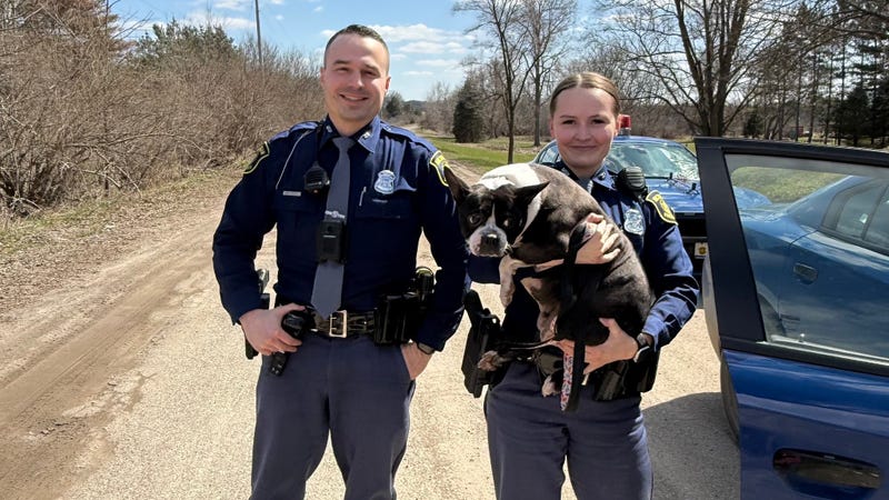 Michigan State Police troopers save a Boston Terrier off the highway