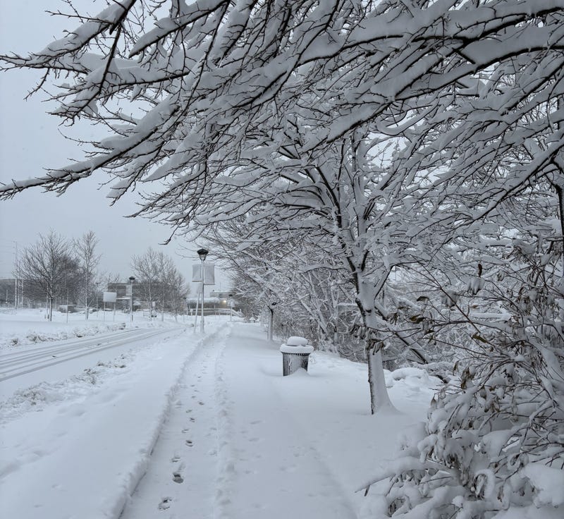 Snow falls in Willow Grove, Feb. 23, 2026.