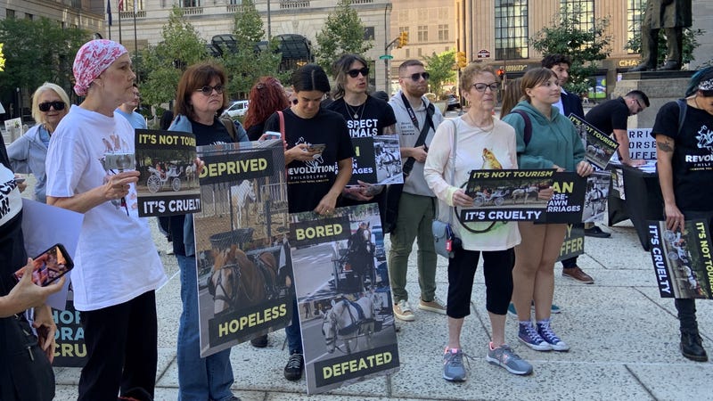 Protesters outside Philadelphia City Hall calling for people to urge City Council to end horse-drawn carriages in the city.