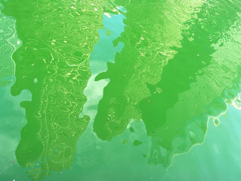 green river