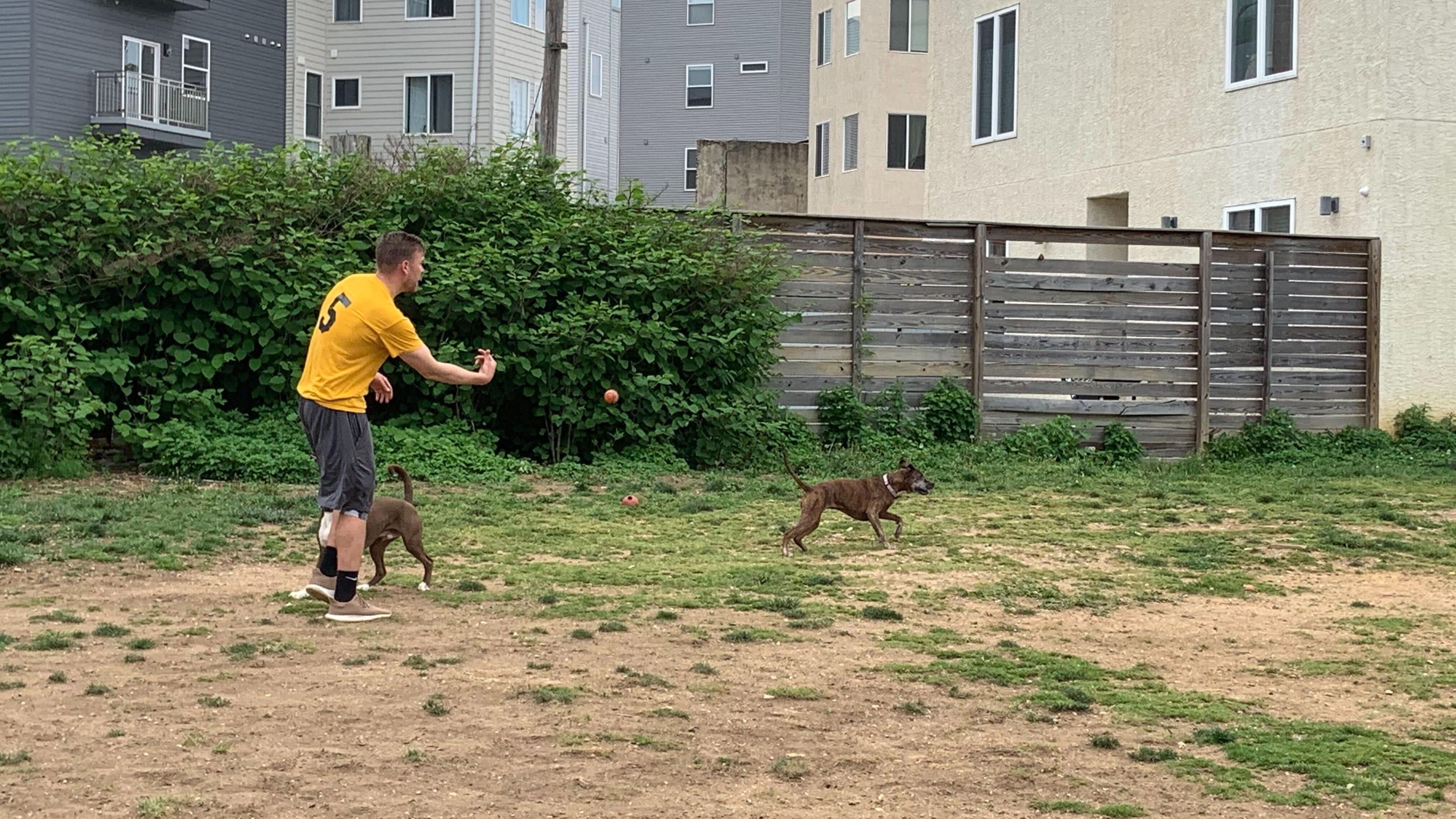 'Subject to arrest:' Philadelphia threatens residents who built dog park on empty lot
